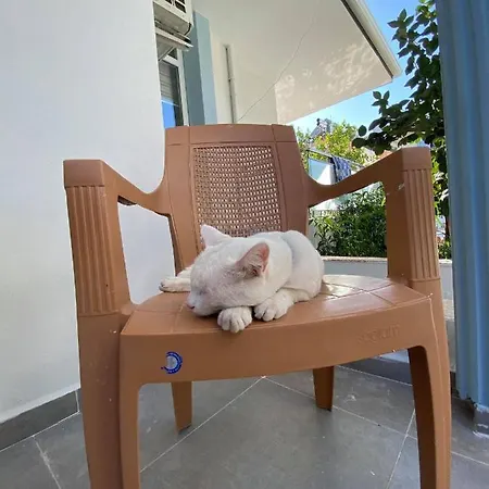 Villa Maleyna Kemer Extérieur photo